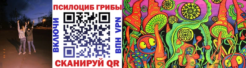 Псилоцибиновые грибы GOLDEN TEACHER  Вяземский 